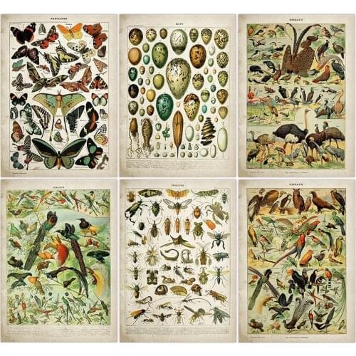 Buttferflies Vintage Poster Bees Insects Birds Plumes Feathers Eggs Wall Art Posters Prints Painting Adolphe Millot Kraft paper