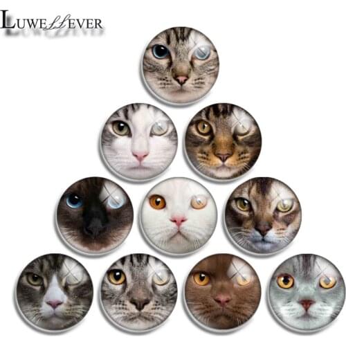 12mm 10mm 16mm 20mm 25mm 30mm 569 Cat Face Mix Round Glass Cabochon Jewelry Finding 18mm Snap Button Charm Bracelet