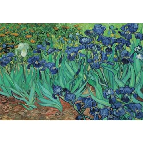 Full Square Diamond Embroidery Van Gogh Irises 5d Diamond Mosaic Cross Stitch Picutres of Rhinestones Decor Christmas Gift CV355