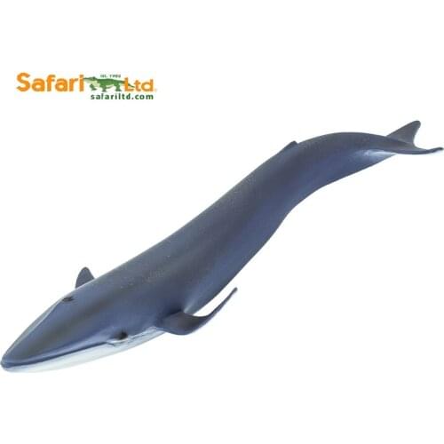 Balaenoptera Musculus Blue Whale For Boys Marine Oceans Animal Toy