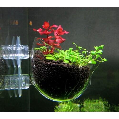 Int-Polka design for internal tank Use collection special plant mount on the glass VIV Official flagship store