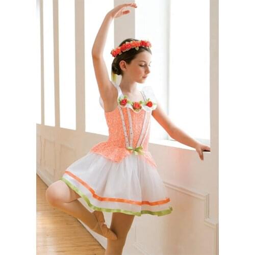 Childrens Ballet Tutu Dress Girls Princess Dancing Suit Ballet Skirt Dance Kids Stage Dress Girls Ballet Costume D-0467