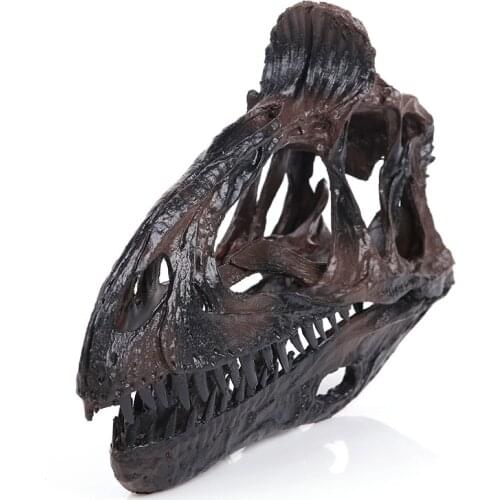 Resin Crafts Cryolophosaurus Dinosaur Skull Model Kids Study Dinosaur Toy Action Figures Children Halloween Festival Gifts