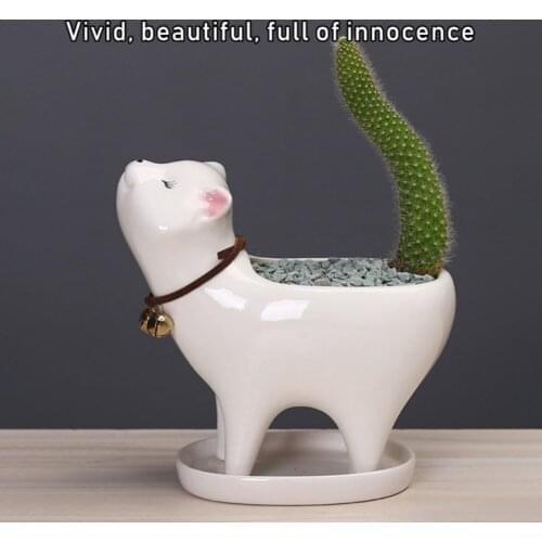 Garden Cat Tail Succulent Cactus Ceramic Flowerpot Cartoon Lovely Personality Ornaments #7