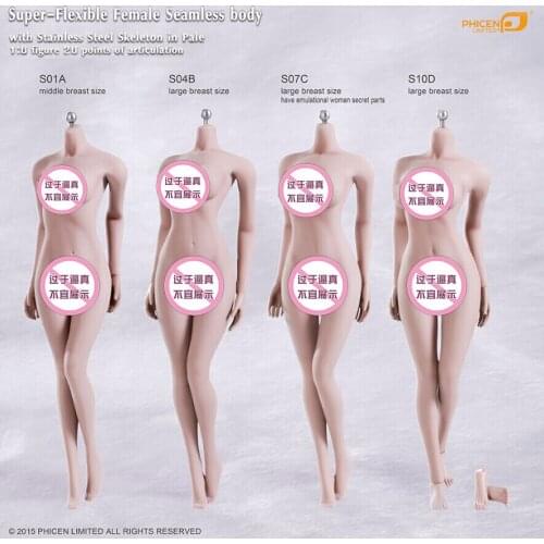 TBLeague S01A S04B S07C S10D 1/6 Female Seamless Body with Metal Skeleton In Pale for 12" Collectible Action Figure DIY