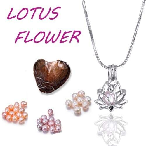 Lotus shape cage pendant charming pretty Hot Sale love Fashion Silver Plated mix Style Jewelry Gifts For Women Children PO47