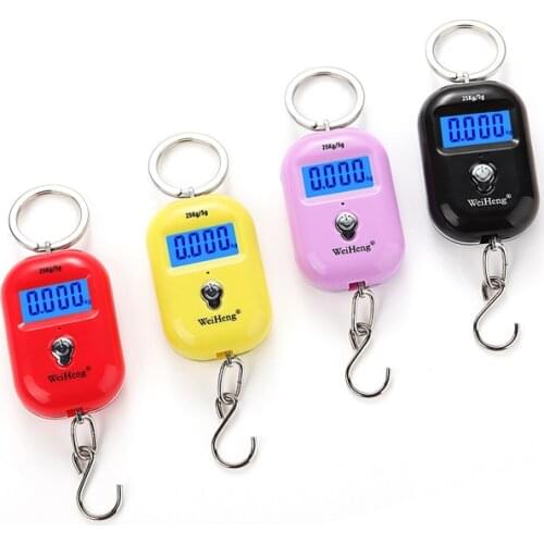 25Kg X 10g Cute Mini Digital Scale for Fishing Luggage Travel Weighting Keychain Portable Hanging Electronic Hook Kitchen Tool