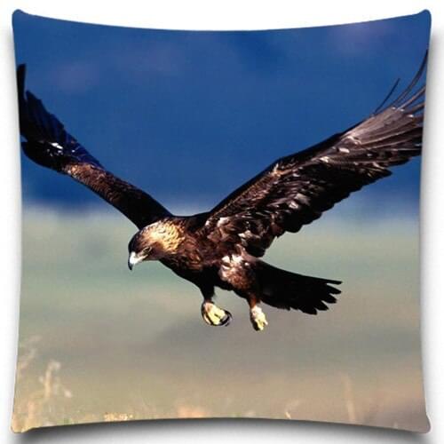 Cushion covers Eagle Bird print pillow covers pillow cases- Cloth, Double-sided Printing, Size optional