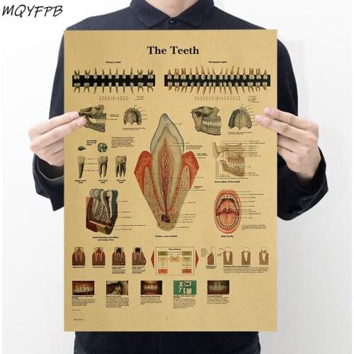 Human Anatomy Teeth Kraft Paper Poster Home Room Wall Decoration Painting 50.5x35cm