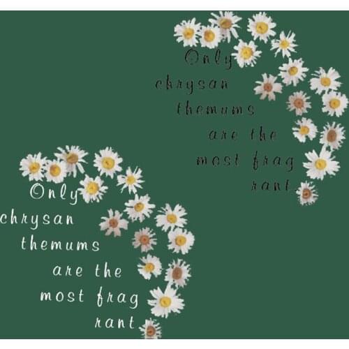 Flowers Letter Patches Iron On Transfers For Clothing Stickers Stripe Cute Daisy Heat Transfer Vinyl Applique for Clothes DIY