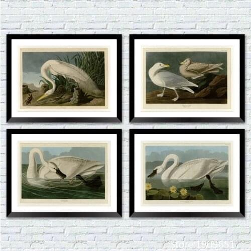 Cotton no frame realist Audubon white birds scenery canvas printings oil painting printed on cotton wall art decoration picture