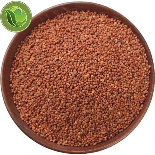 Chu Shi Zi / Paper Mulberry Fruit / Fructus Broussonetiae Dry Herbs