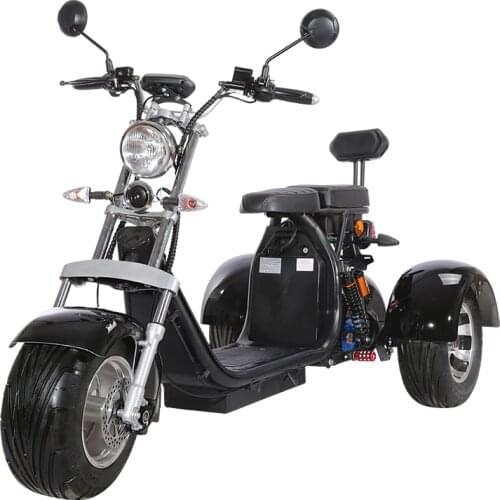 3 Wheel Citycoco Electric Motorcycle Electric Tricycles Adult Icluding EU Customs No Taxes 60V 20ah Removable Lithium Battery