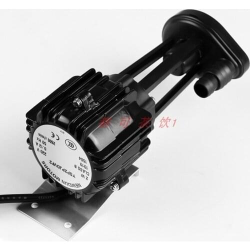 Ice machine water pump 2w Xingji Baiyu Aixue Dongbei Naxue Anxue ice machine 2w water pump YSP2P JDVF2 0.12A 220V