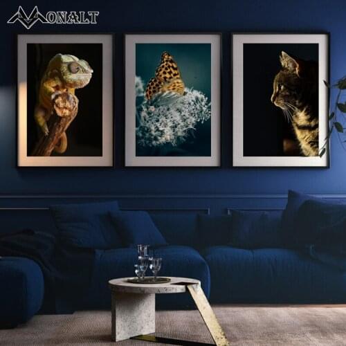 Butterfly Cat Owl Lizard Photography Animal Insect Poster Realist Black Canvas Print Paintings on The Wall Living Room Picture