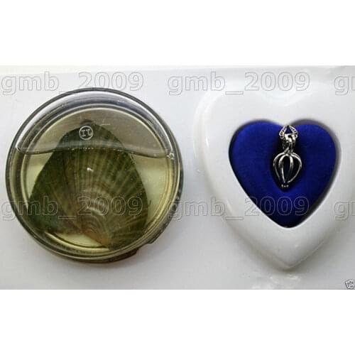 10PC set Women Gift word Love DIY gift Love Wish (In Oyster )Drop Pendant Necklace with rose box mujer forCZ Luxury Ms. girl