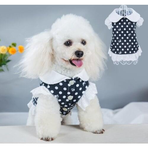 Cat Clothes Princess Lace Dress Puppy Dog Cat Skirt Cute Polka Dot Teddy Pet Costume