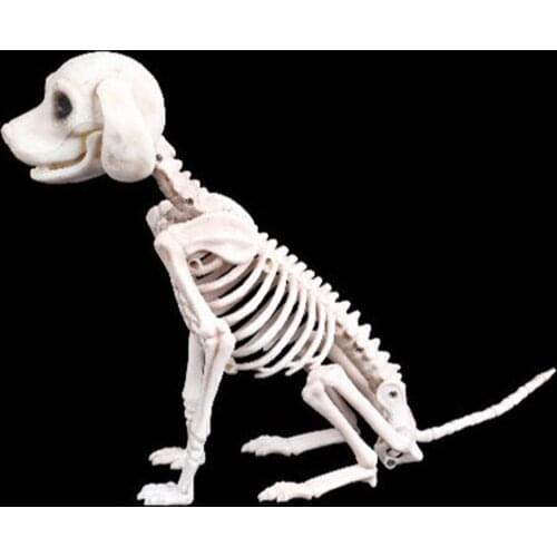 Halloween Skeleton Dog Prop Animal Bones Party Ornament Shop Decoration Horror Dog skeleton skull Halloween horror decoration