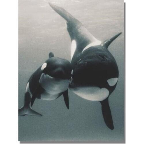 BMBY-Killer Whale Round Diamond Diamond Painting Diy Diamond Painting Embroidery Kit Office Decoration Painting 05