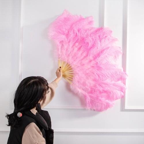 High Quality Pink Ostrich Feathers Fan Stage Production Tools Carnival Center Decoration Fluffy Natural Plumes For Crafts 13Bone