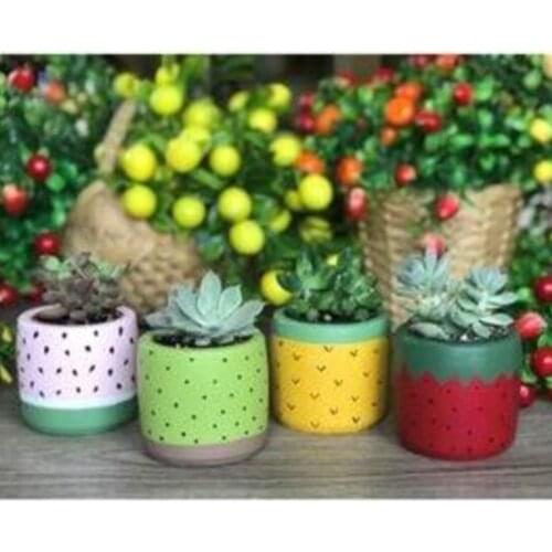 Saccura Ceramic Pots