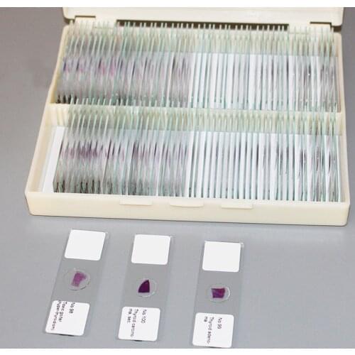 100 PCS Professional Prepared Human Pathological Slice Microscope Slides for Medical University Science Biology Research
