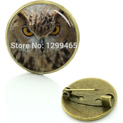 2017 Real Broche Simple Design Animals Badge Dress Accessories Owl Photo Symbol Pin Retro Ethnic Style Glass Brooches C 1030