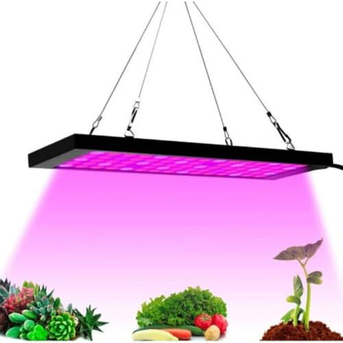 BlackMix Professional Lighting