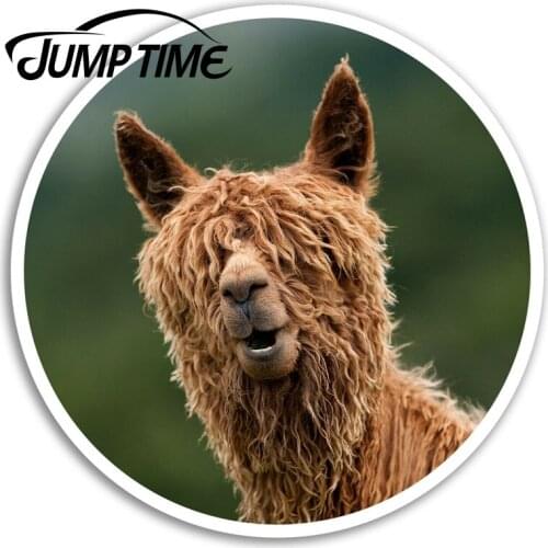 Jump Time Funny Llama Vinyl Stickers Alpaca Rasta Sticker Laptop Luggage Car Assessoires Window Decals Car Wrap DIY