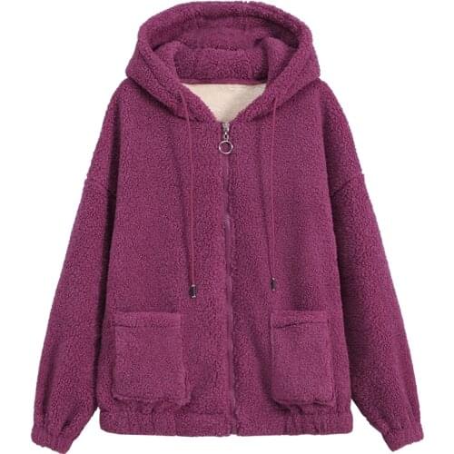 Fashion Lamb Wool Women Harajuku Hoodie 2021 Zipper Solid Color Thick Long Sleeve Lady Clothes Bean Paste Red Sweatshirt Female