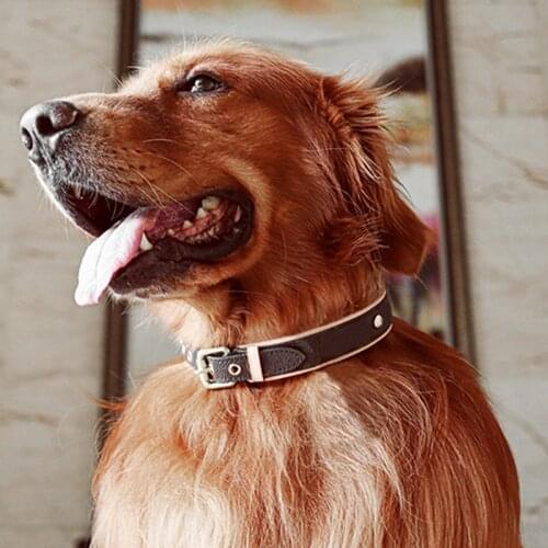 Puppy Designer Custom Collar Leash Set for Yorkies Chihuahua Pet Dog Luxury Collar for Small Dogs Dog Accessories LC0239