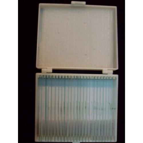 Biological microscope educational prepared slides