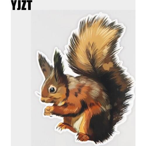 YJZT 12.9×17CM Cute Squirrel Art Cartoon Decals Fashion Body Decoration Car Stickers 21A-1255