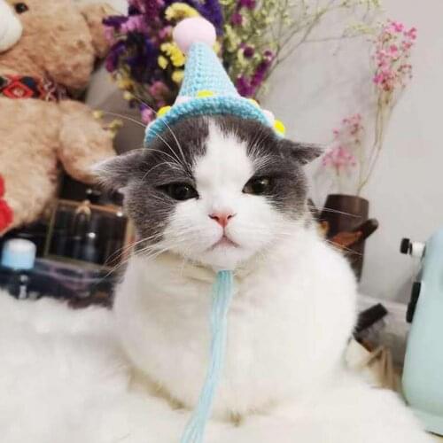 New Style Dog Birthday Hat Plush Ball Decor Knitted Woolen Yarn Pet Photography Hats for Party Birthday Photography Props