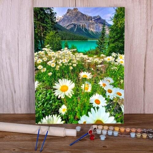 Flower Paint By Numbers Set Acrylic Paints 50*70 Painting On Canvas Decorative Paintings For Kids Art