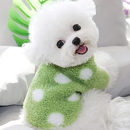 Despitego Clothes And Footwear For Dogs