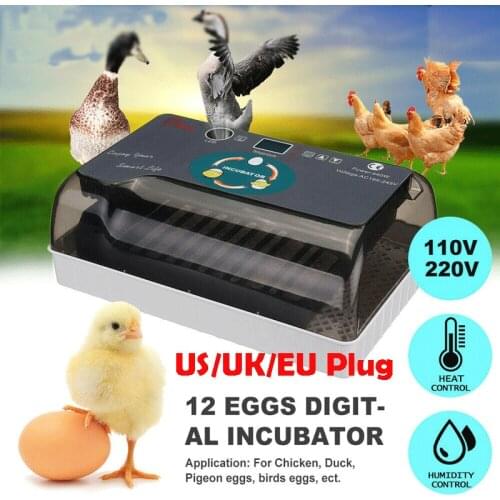 High Quality 12 Eggs Incubator LED Fully Automatic Turning Chicken Poultry Egg Ducks Hatcher Automatic Incubators EU UK US