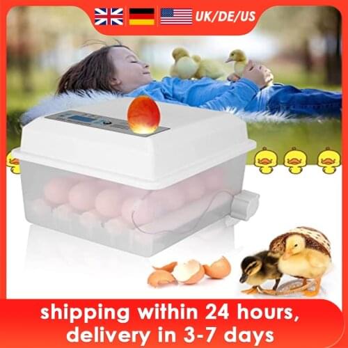 220V Eggs Incubator Brooder Bird Quail Chick Hatchery 16 Eggs Incubator Poultry Hatcher Turner Automatic Farm Incubation Tools