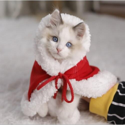 MamyPets Clothes For Cats