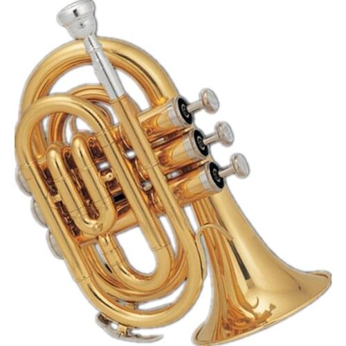 Gold lacquer Brass body Tone Bb Pocket Trumpet