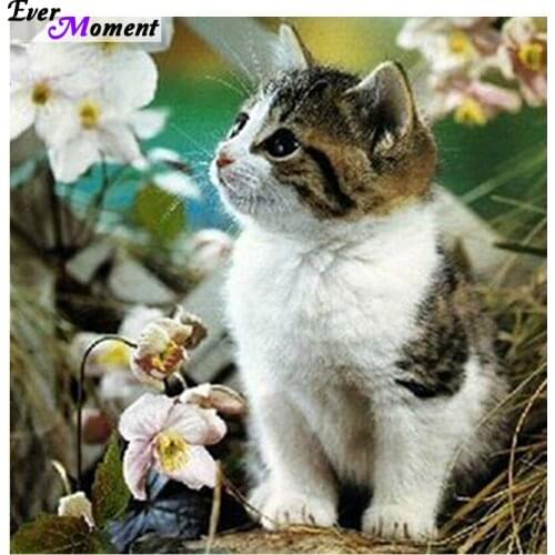 Diamond embroidery diy diamond painting cross stitch cat diamond rhinestone pasted painting home decor wall sticker gift ASF491