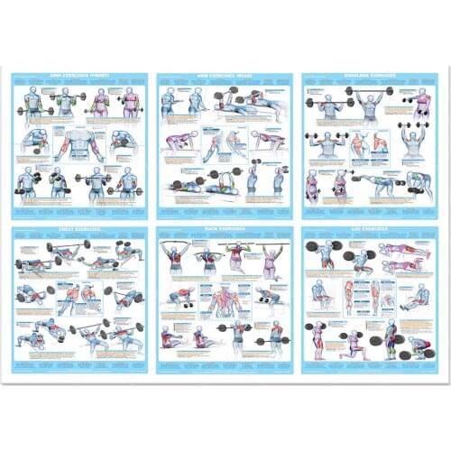 Affiches de formation de poids de musculation