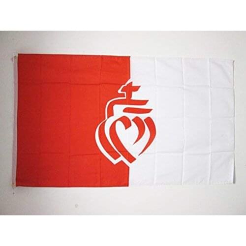 Hot Selling French Department Of The Vendee Flag 3x5ft 150X90CM Banner 100D Polyester Custom Grommets