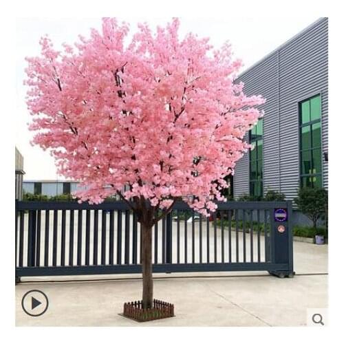 Wedding simulation cherry tree