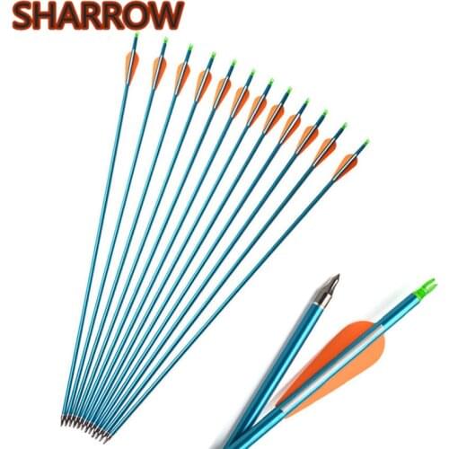 6/12 Pcs 30" Archery Aluminium Arrow Spine 300 Aluminium Arrows With 3" Rubber Vanes For Outdoor Hunting Shooting Accessories