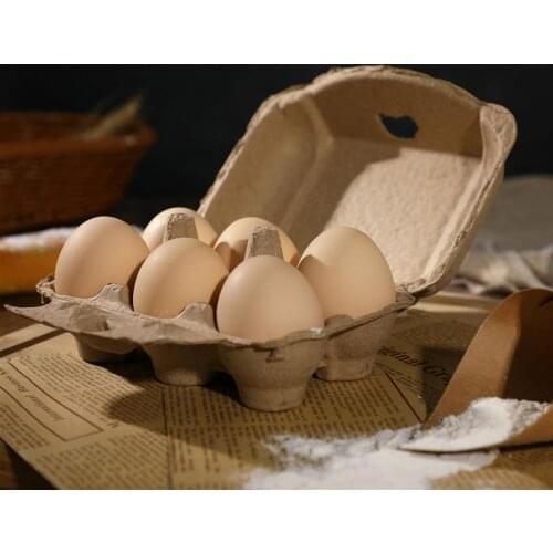 POPETPOP 5pcs Egg Cartons 6 Eggs Holder Paper Pulp Egg Storage Trays Egg Containers For Home Kitchen Restaurant Organizer