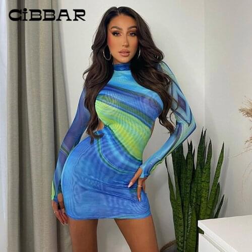 CIBBAR Mesh See Through Print Package Hip Bodycon Dress For Women Sexy Backless Long Sleeve Slim Hipster New Club Skirts Summer