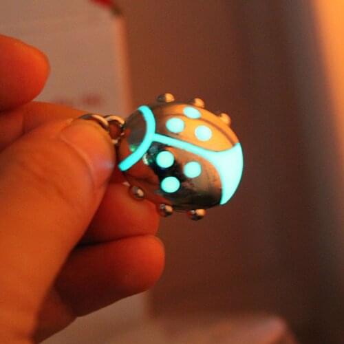 Glowing Six-spot ladybug keychain GLOW in the DARK Luminous Pendants women MEN boys girls gift keyring Bag pendant key holder