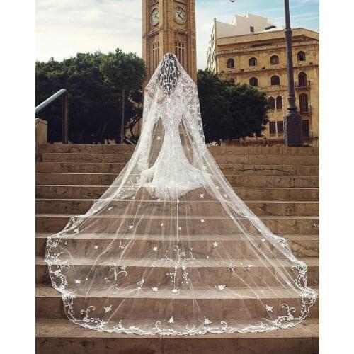 Luxury Wedding Veils White Ivory Cathedral Length Top Quality Lace Appliqued 3M Long Bridal Veil With Free Comb Beads