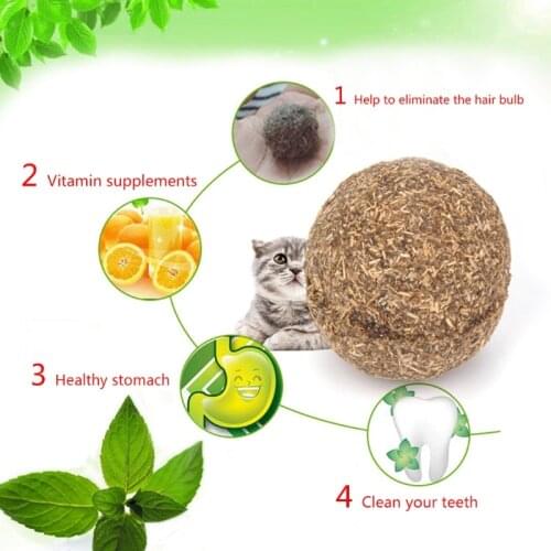 Funny Nature Mint Ball Play Toys Ball Coated With Catnip Toy For Pet Kitten Drop shipping